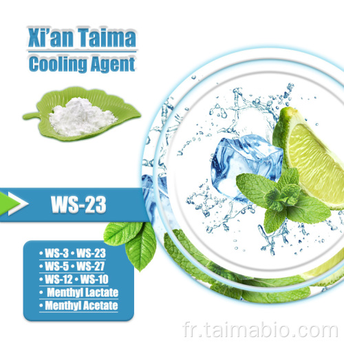 Flavour de vente à chaud WS23 Agent de refroidissement WS23 CAS 51115-67-4 Utilisé pour la nourriture et les boissons